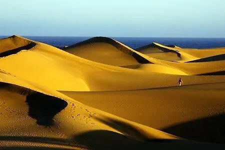 Fantastico 511 By Casas Cocodrilo * 마스팔로마스